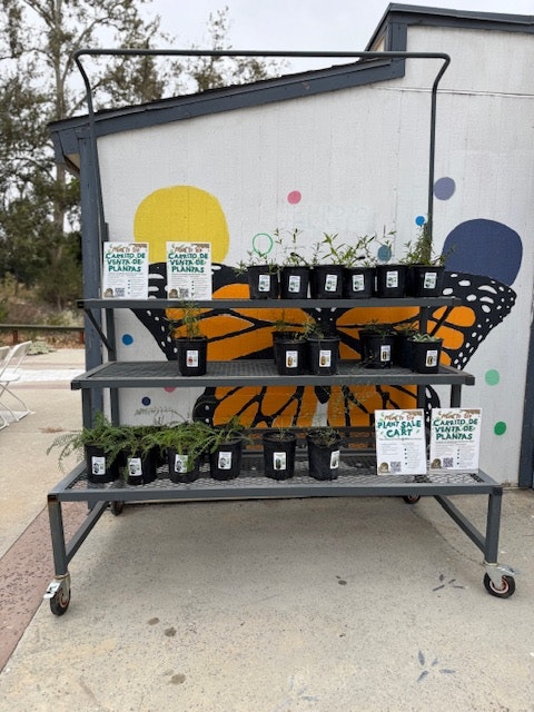 Plants on a metal cart in front of a mural with a large butterfly wing design.