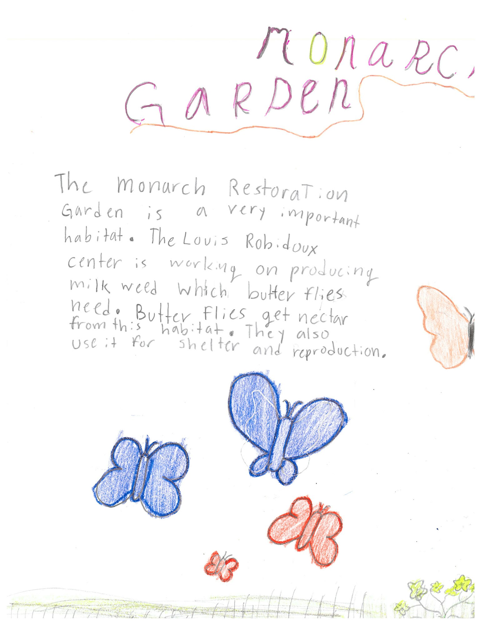 Handwritten text about a Monarch Garden, butterflies, and milkweed, with colored drawings of butterflies and flowers.