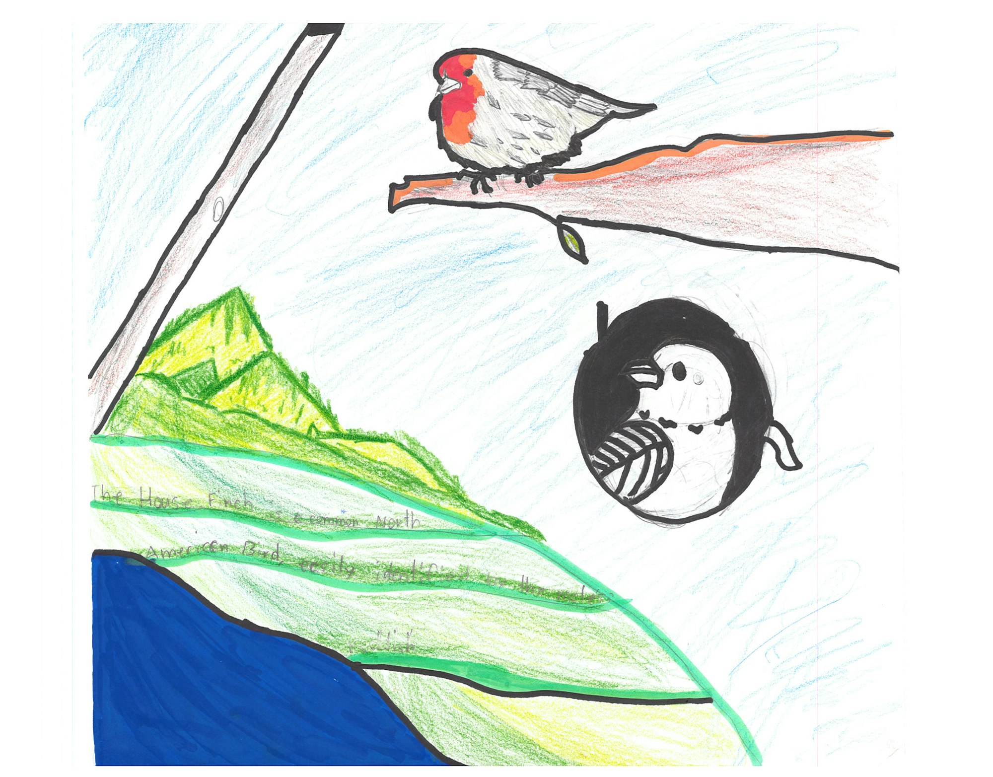 A bird on a tree, a bee, and green leaves against a blue sky, all drawn in a colorful, sketchy style.