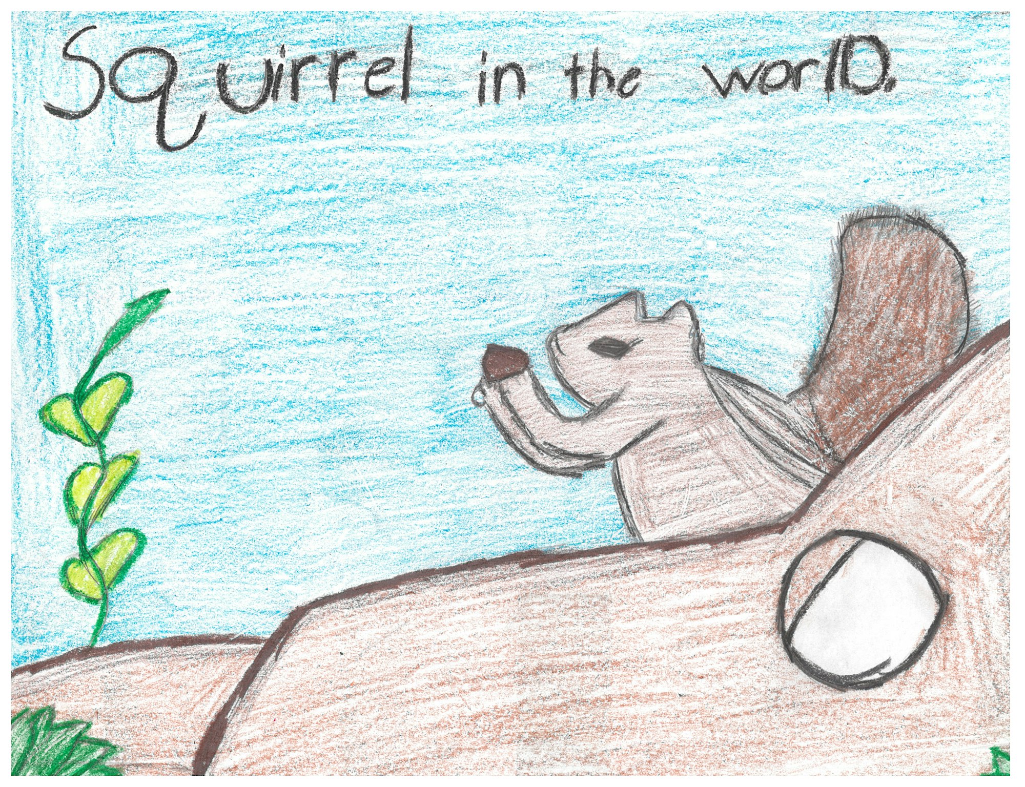 Drawing of a squirrel holding an acorn on a tree branch, with text "Squirrel in the world" on the side.