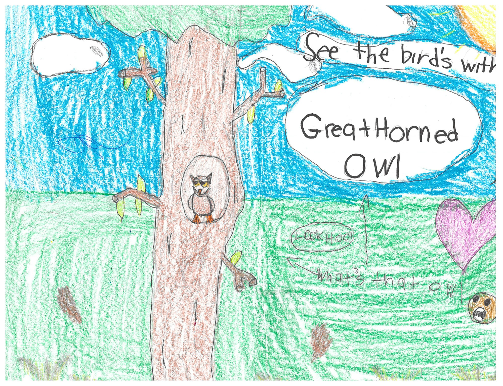 Child's drawing of a Great Horned Owl in a tree. Text reads "See the bird's wit!" and "Great Horned Owl." Bright colors, child-like style.
