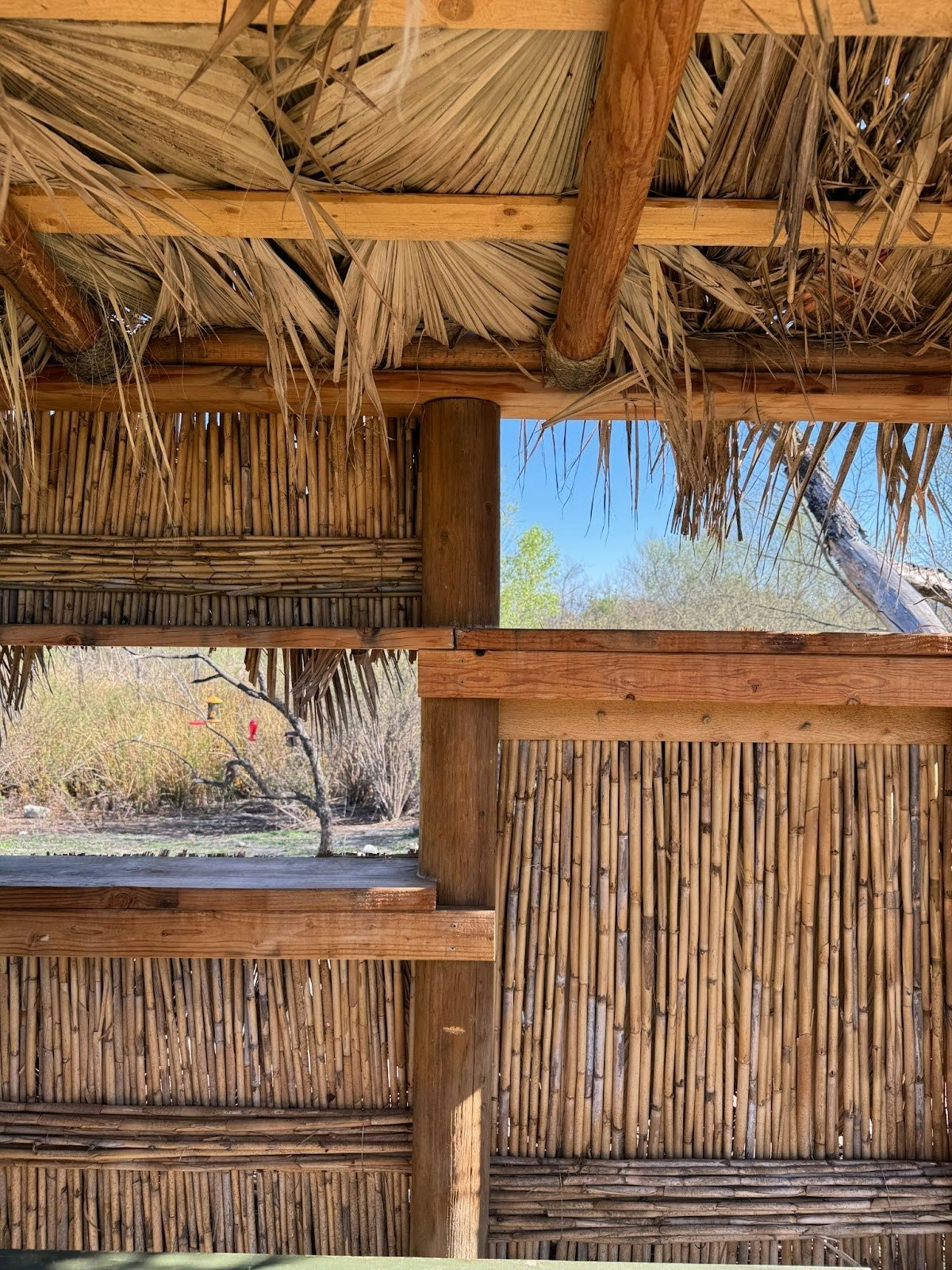 Thatched roof structure with bamboo walls, open window view of trees and a hummingbird feeder outside.