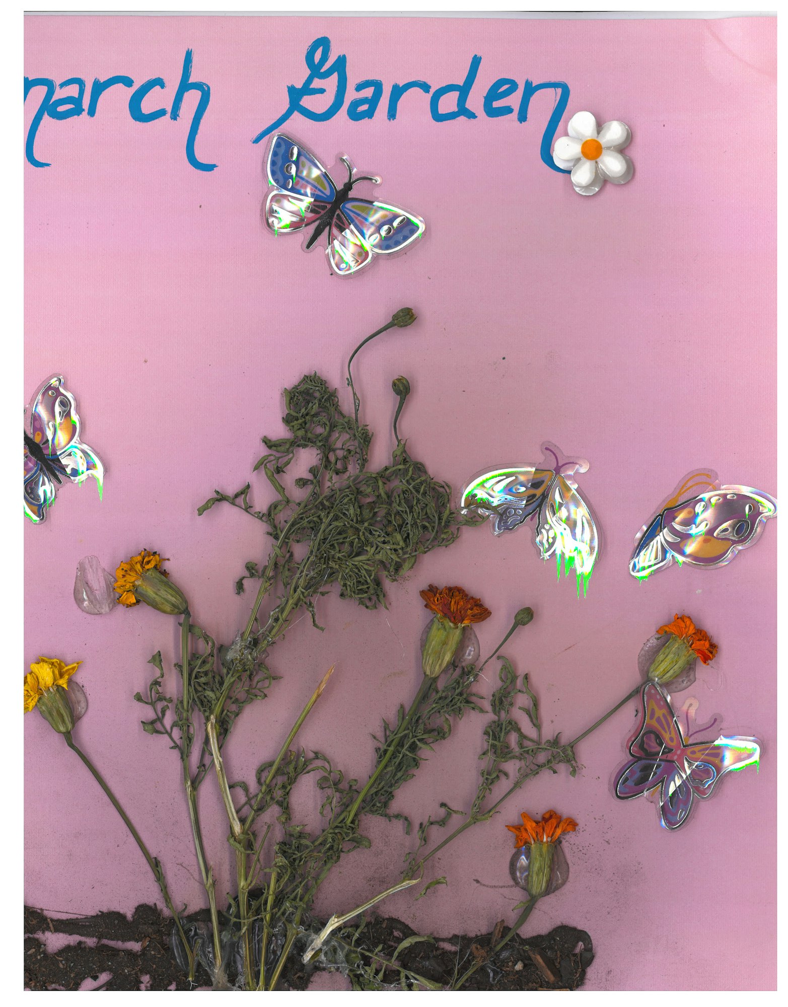 Dried flowers and shiny butterfly stickers on a pink background with "Garden" written at the top.