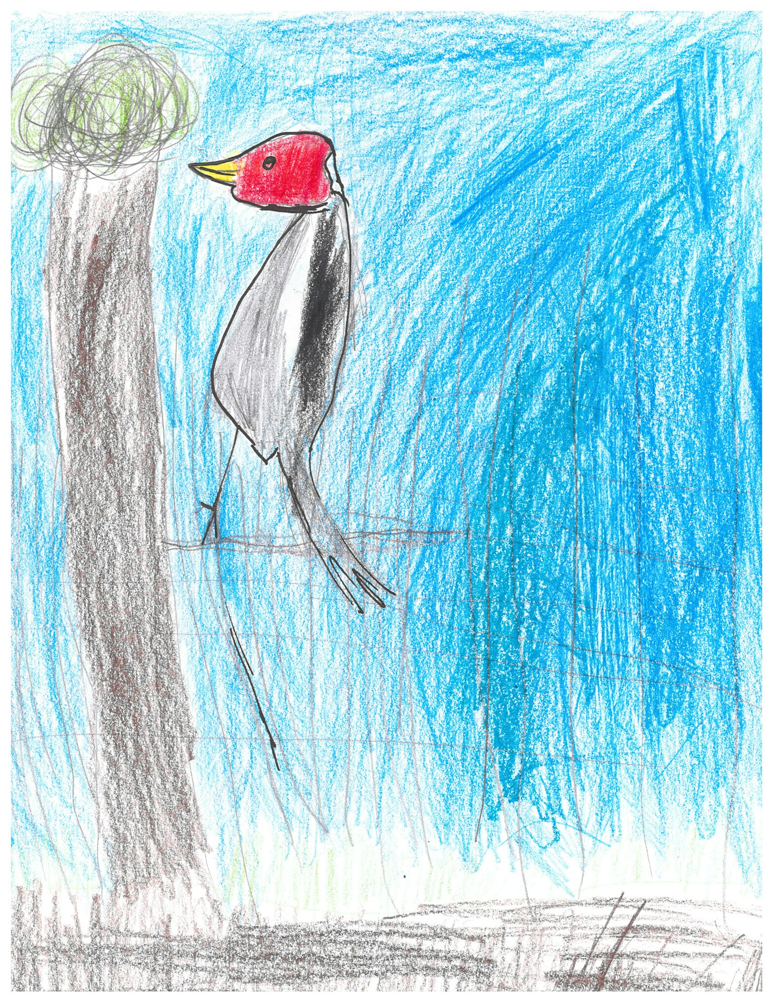 A child’s drawing of a red-headed bird on a branch, with a blue sky, brown tree trunk, and green foliage.