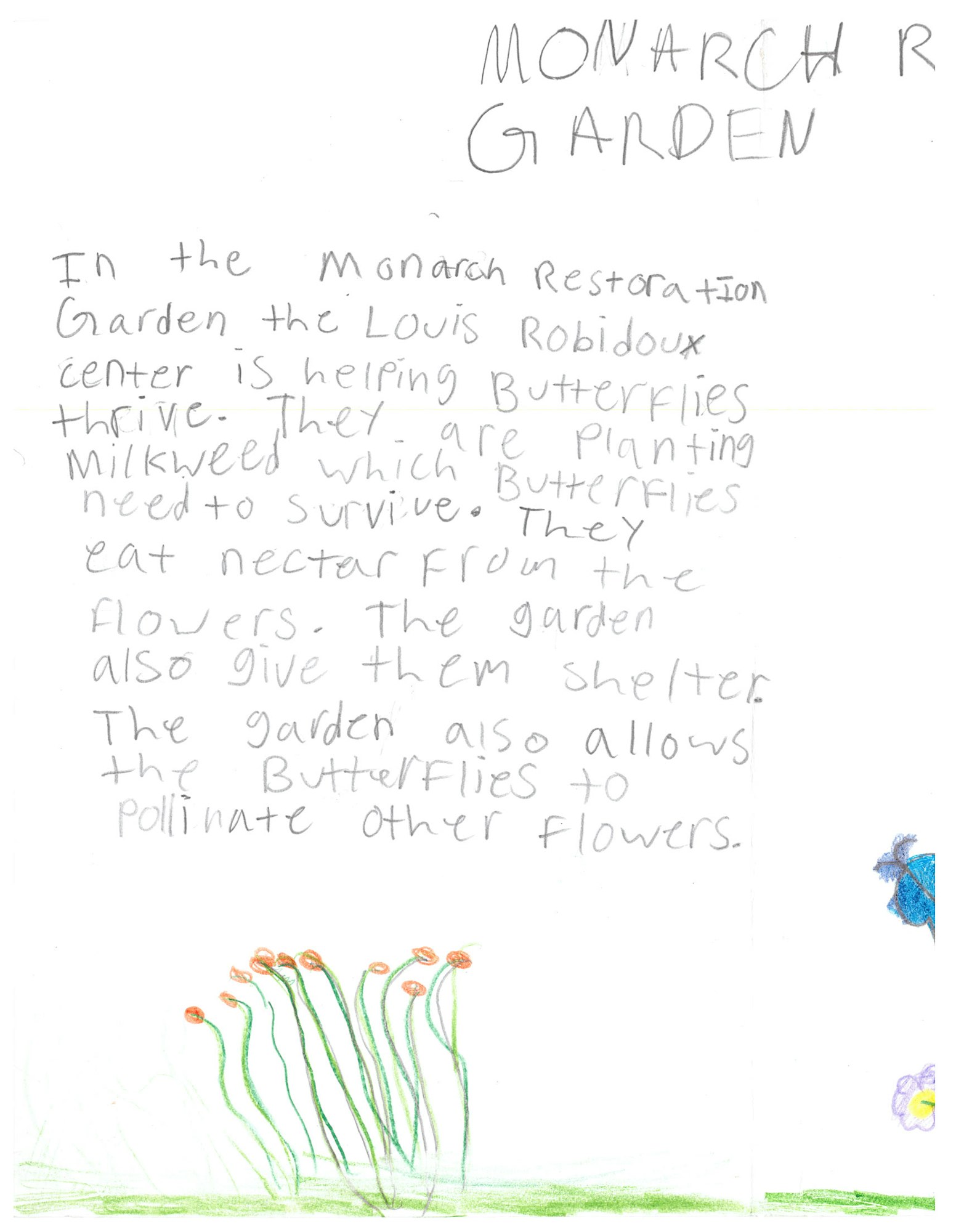 Handwritten text about a Monarch restoration garden helping butterflies with milkweed and nectar. Includes drawings of flowers and a butterfly.