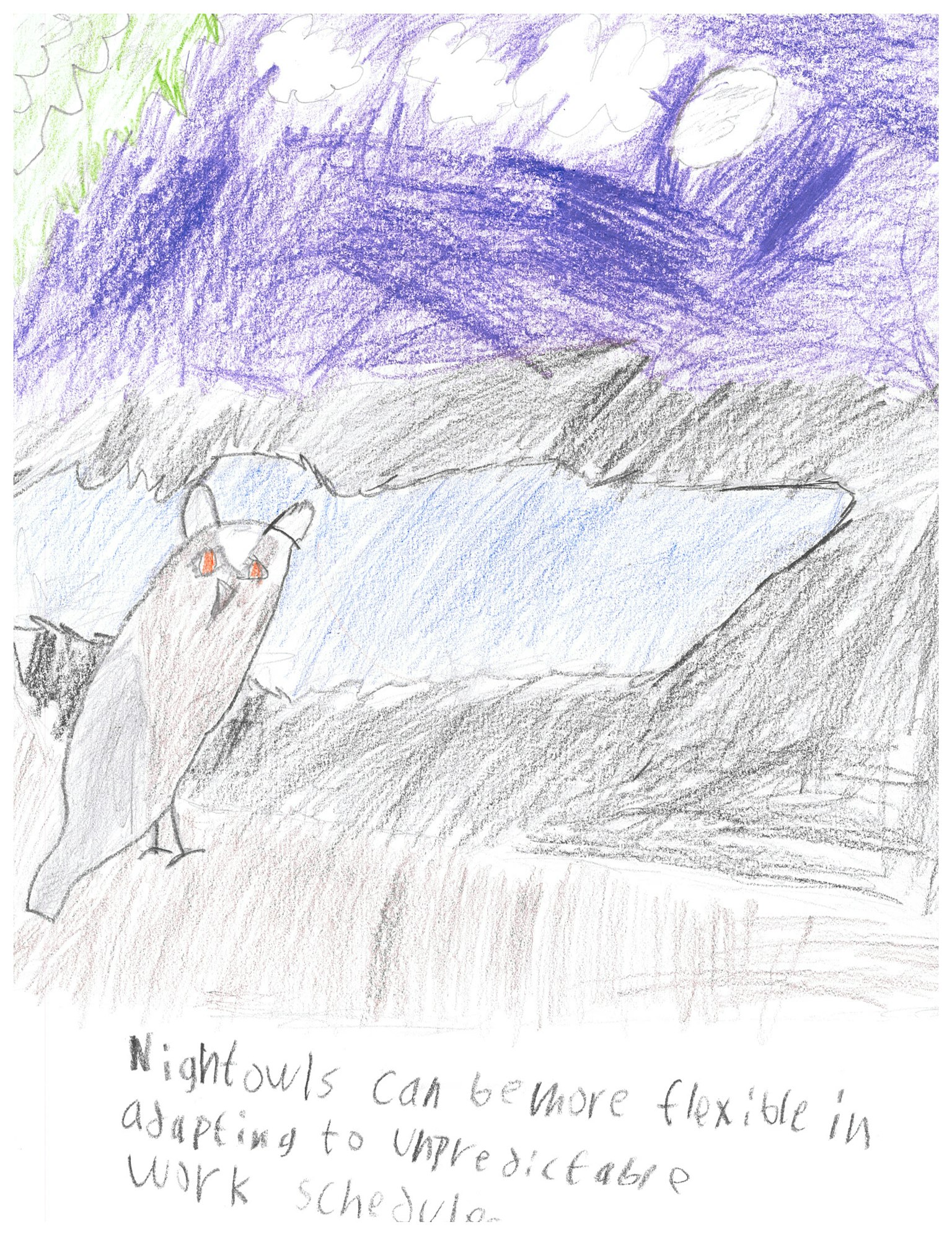 A drawing of an owl with the text: "Nightowls can be more flexible in adapting to unpredictable work schedule."