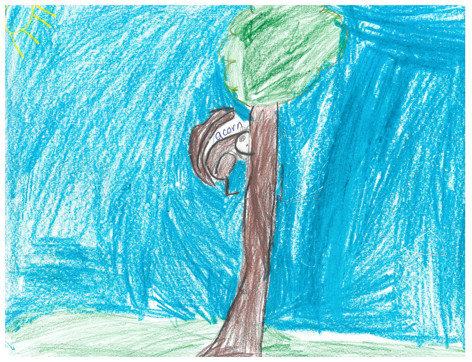 A squirrel on a branch with an acorn and a sunny sky in a childlike drawing.
