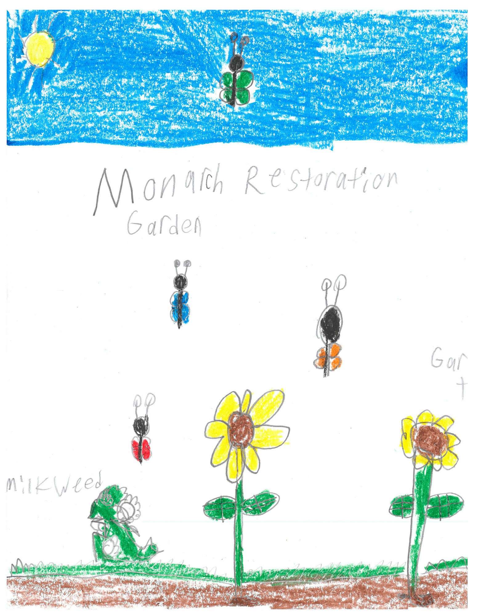 Crayon drawing of butterflies, flowers, sun, blue sky. Text: "Monarch Restoration Garden", "Milkweed", "Garden".