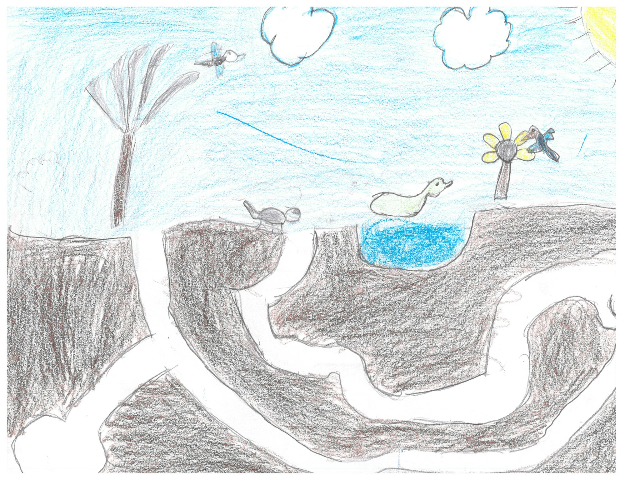 A crayon drawing of a tree with a snake, birds, a flower, and clouds under a bright sun.