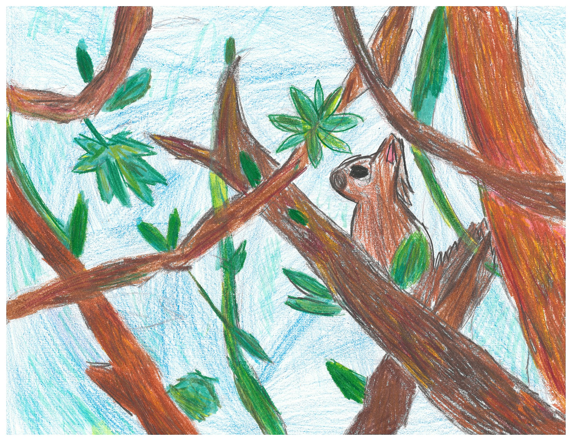 A colored pencil drawing of a small animal with large eyes in a tree, surrounded by branches and green leaves.