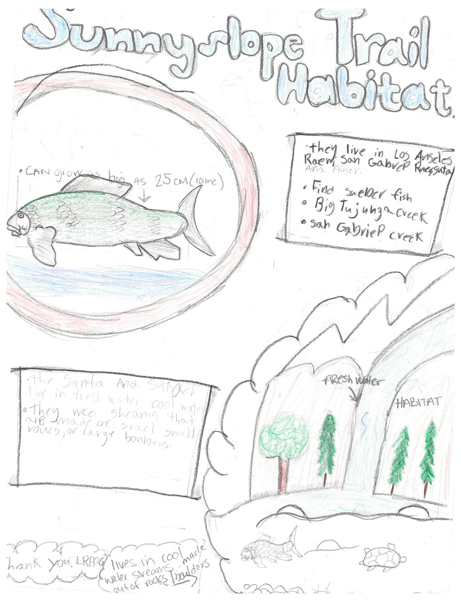 Hand-drawn fish habitat sketch with notes, water plants, and a fish labeled "25 centimeters." Includes text about sunny slope habitat.