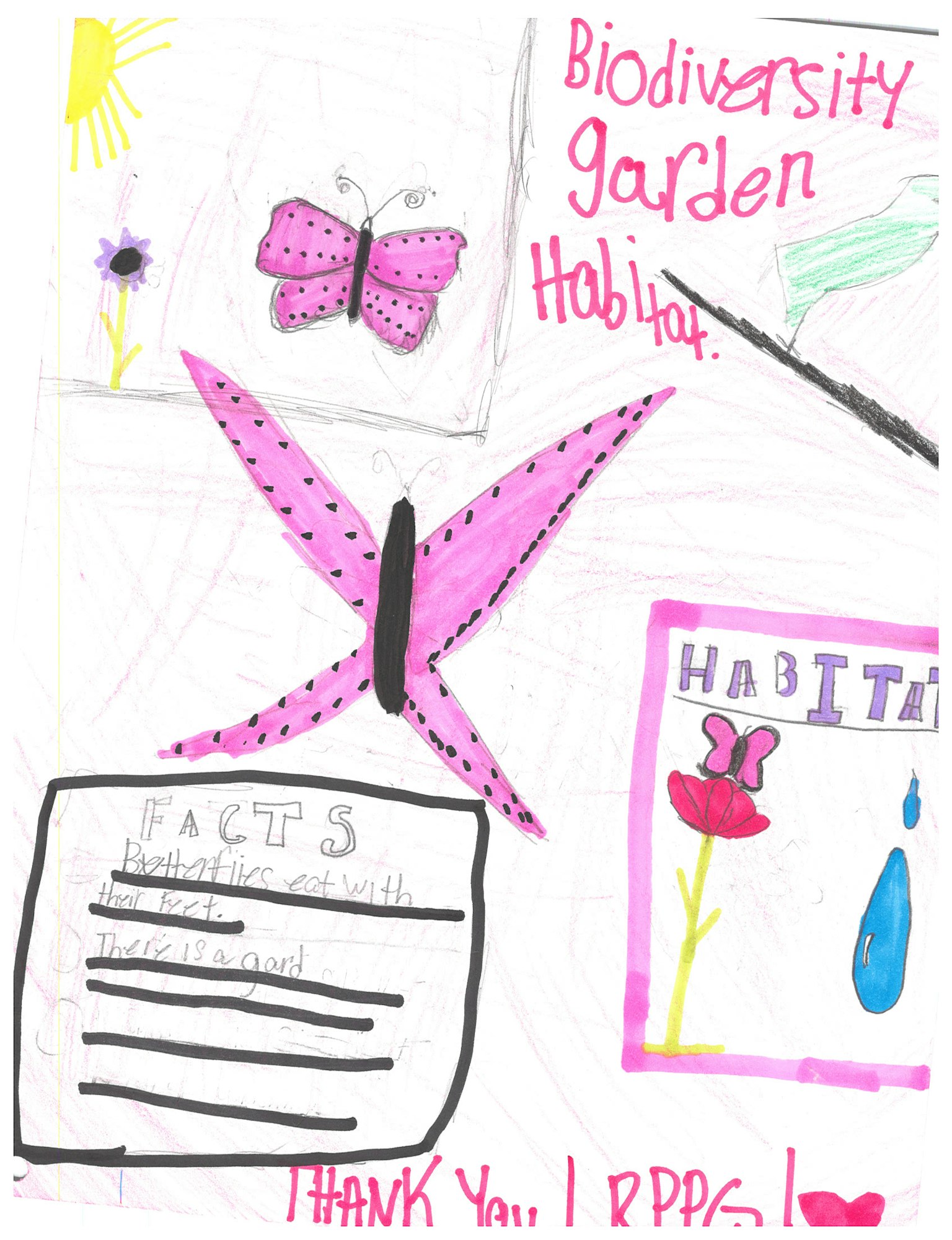 Colorful drawing with butterflies, flowers, and text about a "Biodiversity Garden" and "Facts."