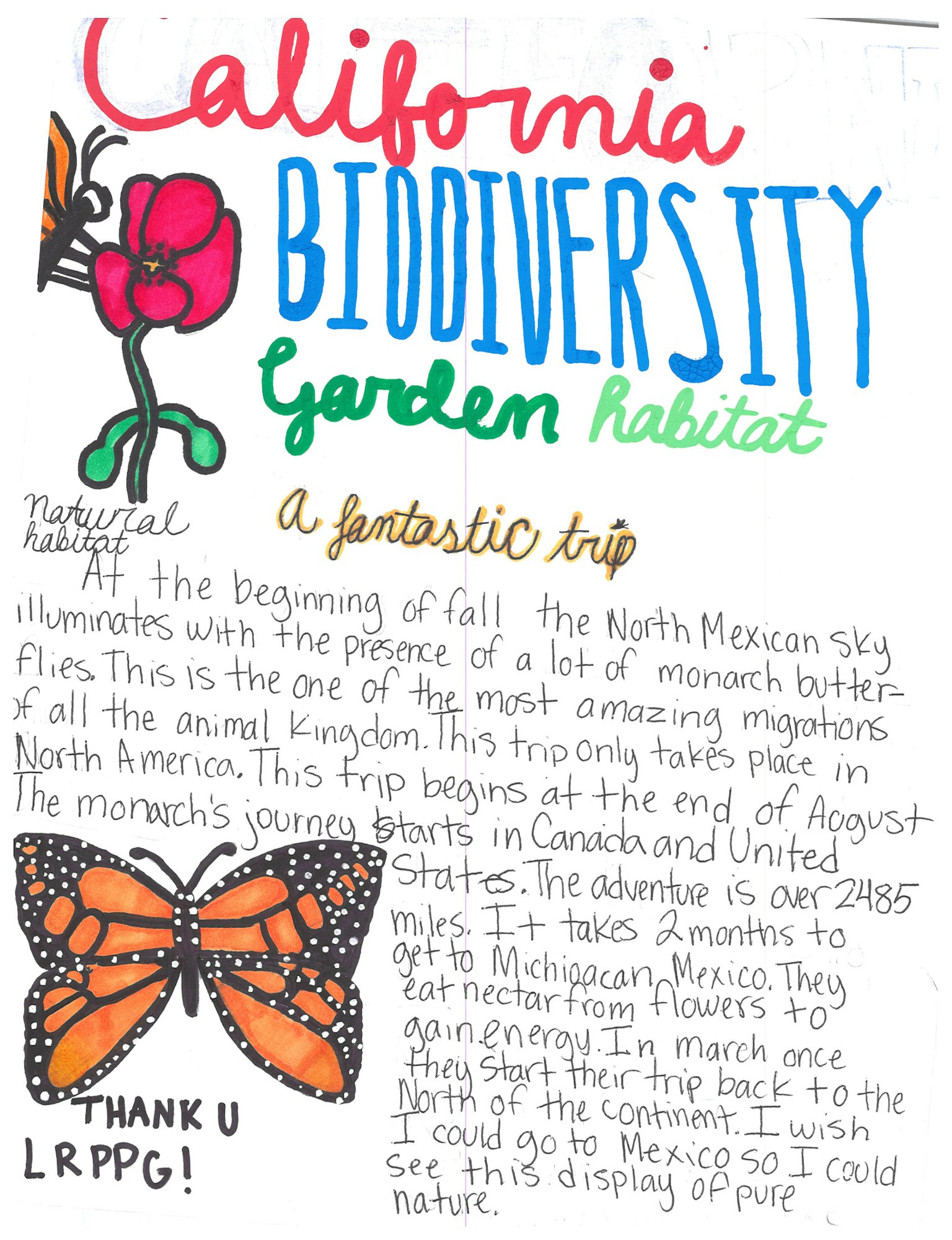 Colorful "California Biodiversity Garden" text, a butterfly, flower drawing, and handwritten notes upside down.