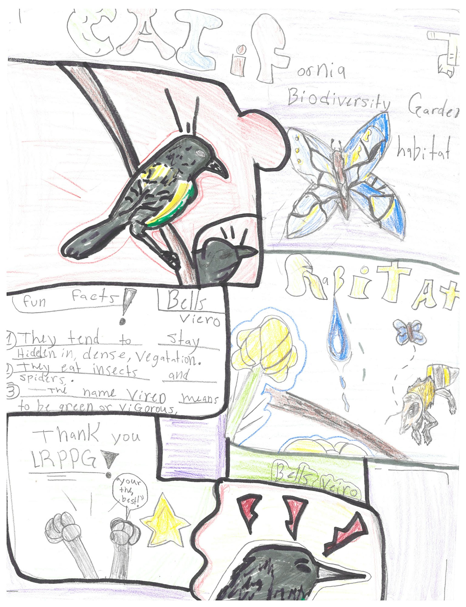 A colorful hand-drawn collage with birds, bees, flowers, butterflies, and some text boxes in various orientations.