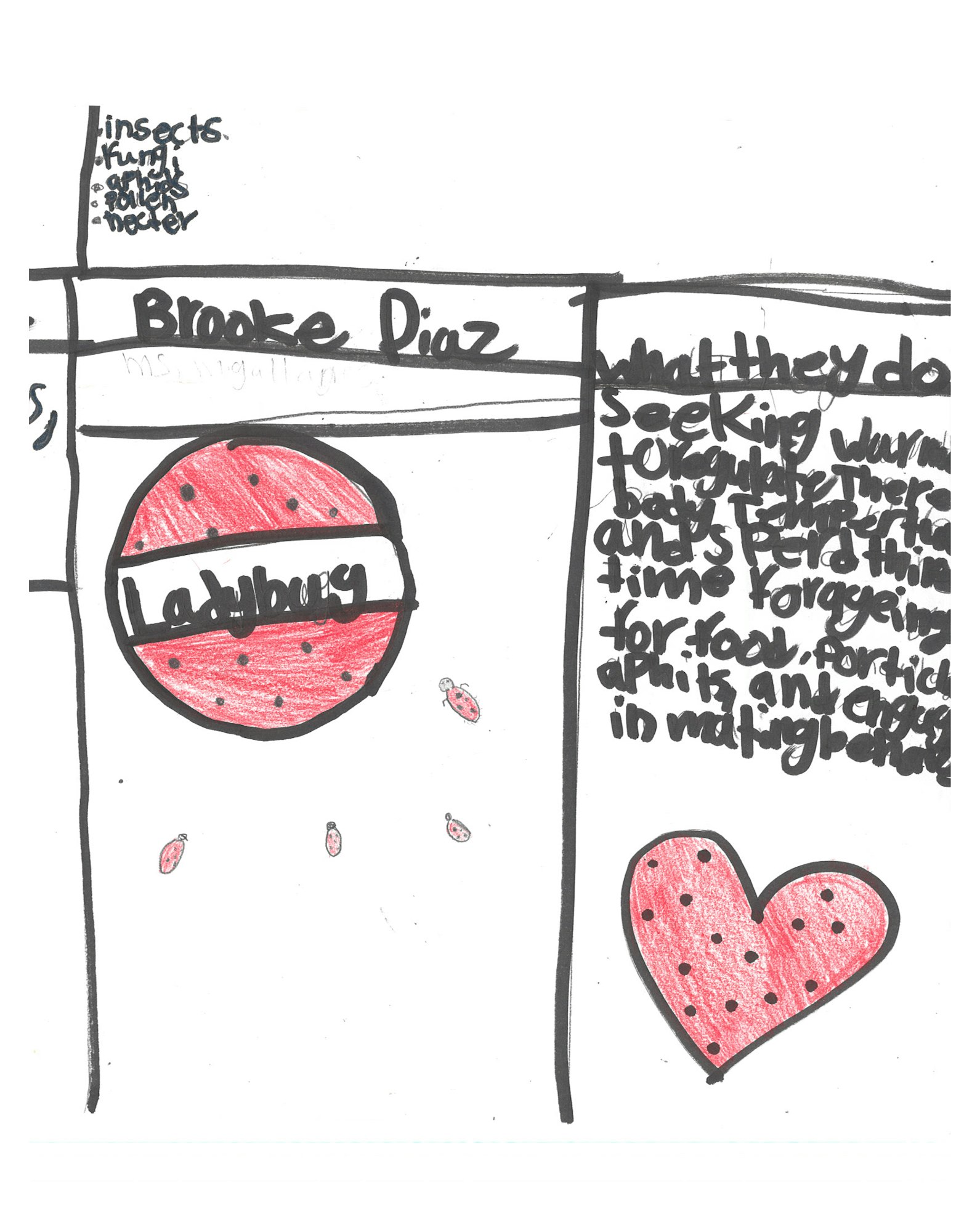 A red heart shape and a circle with lines and dots, surrounded by text and scribbles.