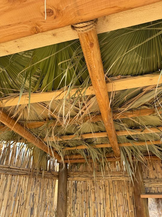 A bamboo hut interior with a thatched roof made of palm leaves and wooden beams.