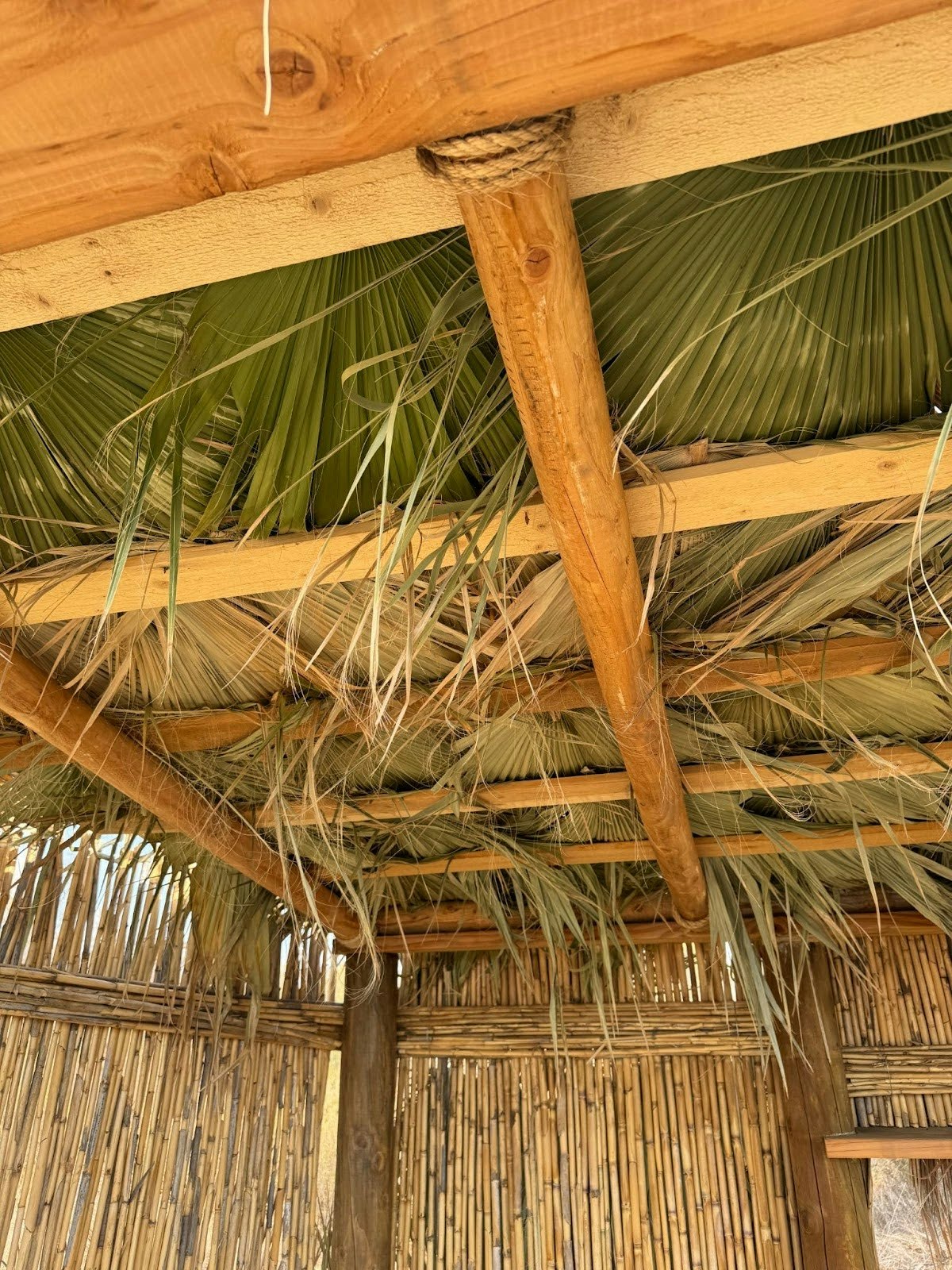 A bamboo hut interior with a thatched roof made of palm leaves and wooden beams.