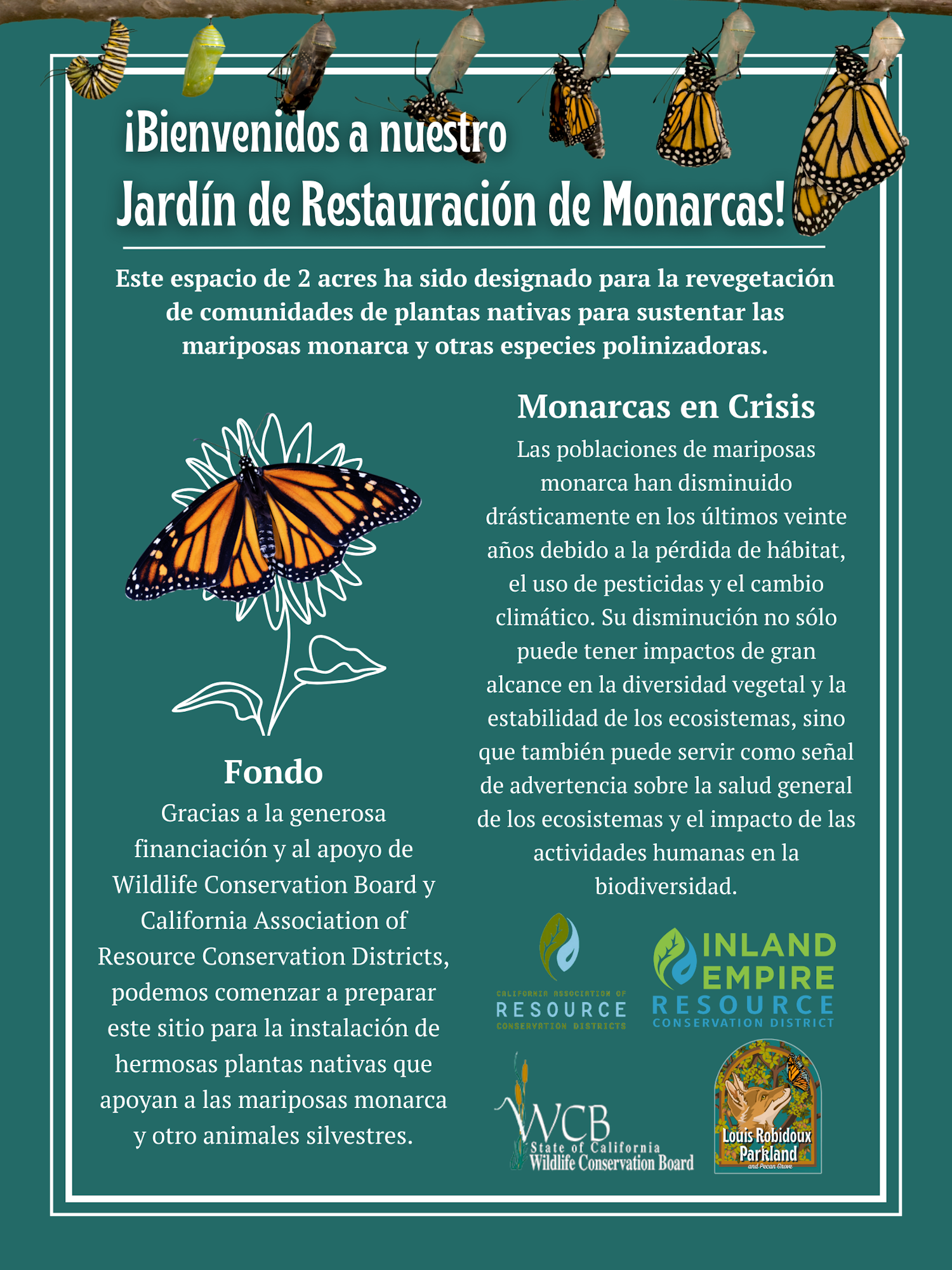 A Spanish poster about a 2-acre Monarch Butterfly Restoration Garden, discussing the crisis monarchs face due to habitat loss and climate change.