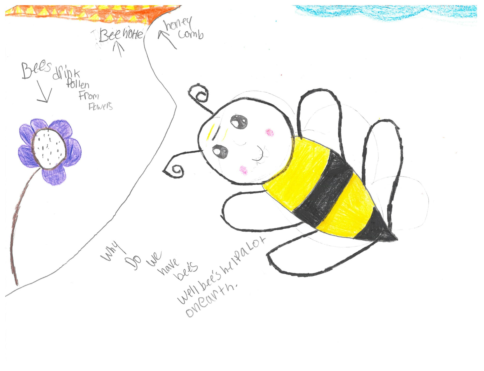 A smiling bee with a text explaining bee roles, a flower, a hive with honeycomb, and text about bees drinking pollen.