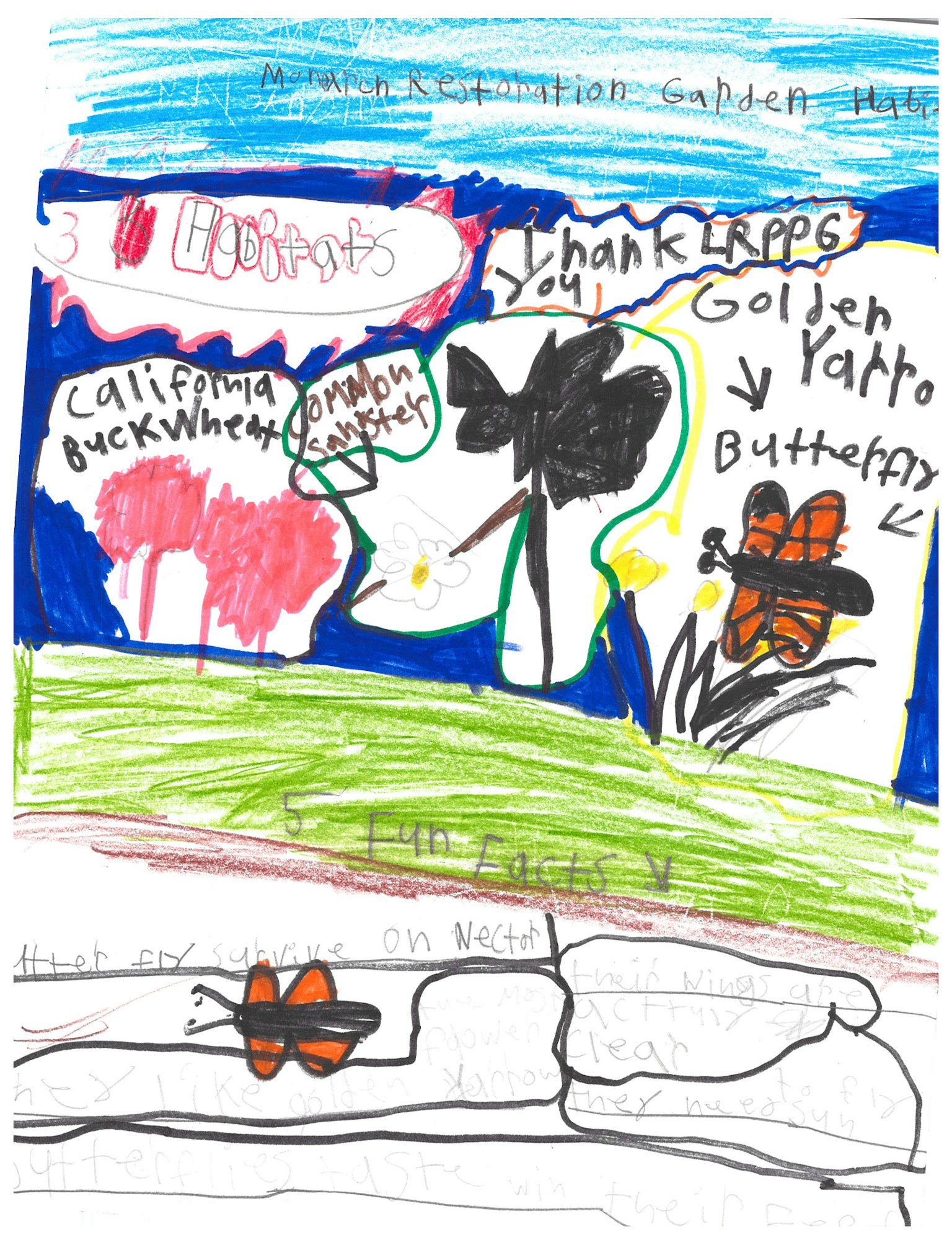 Colorful drawing with butterflies, flowers, and text like "Golden Yarrow" and "Buckwheat." Includes sentences about nature.