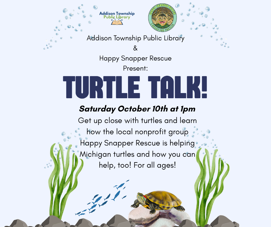 May contain: animal, reptile, sea life, turtle, advertisement, tortoise, and poster