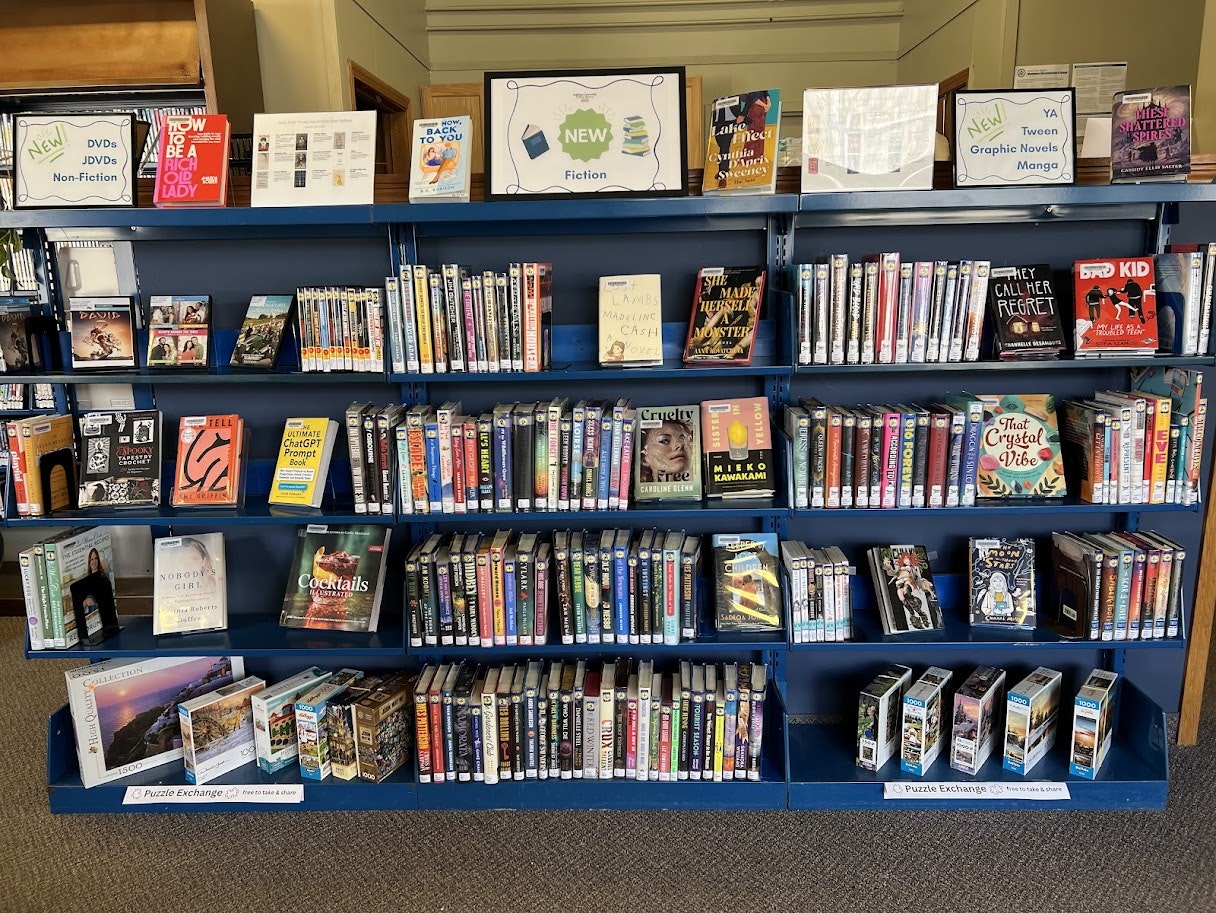 The image shows a library shelf featuring new fiction books, DVDs, graphic novels, and a puzzle exchange section.