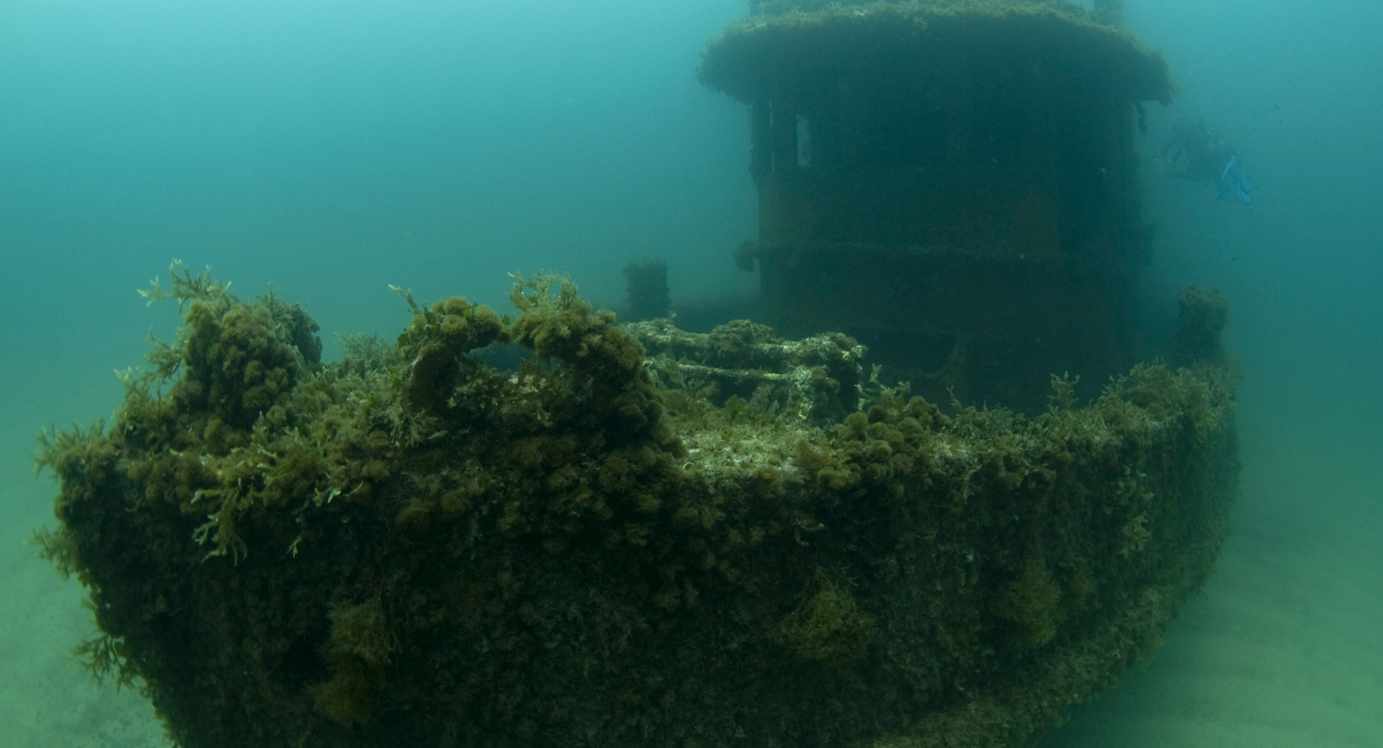 The image shows a submerged shipwreck covered in marine growth, with a diver nearby exploring the site.