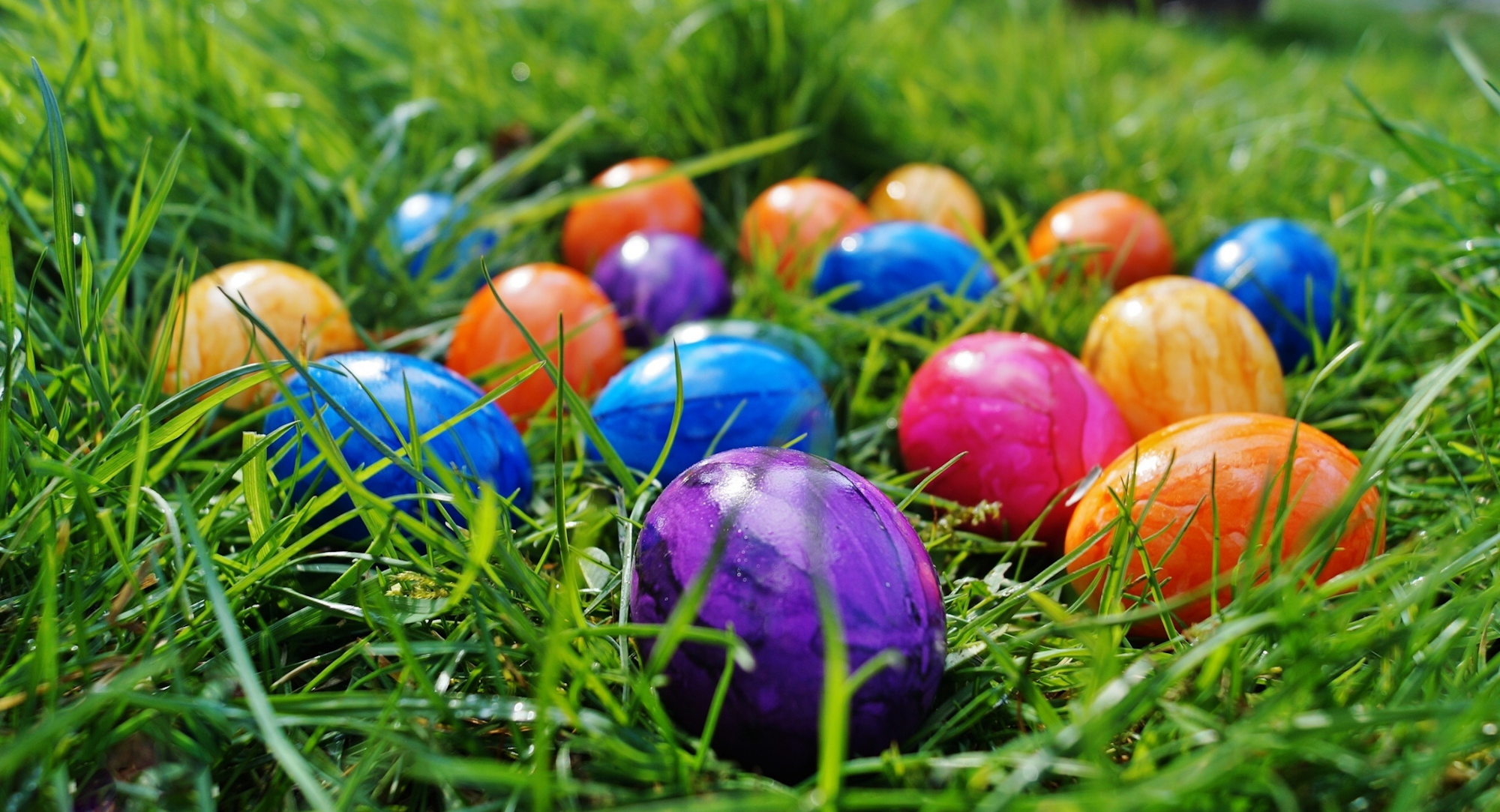 A colorful array of painted Easter eggs resting in green grass.