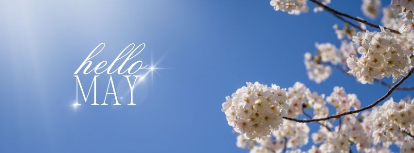 A bright blue sky with blooming white flowers and the text "hello MAY." signifies the arrival of spring.