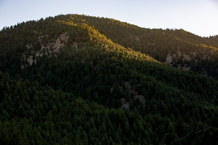 A mountain slope covered in dense forest with sunlight highlighting the top trees.