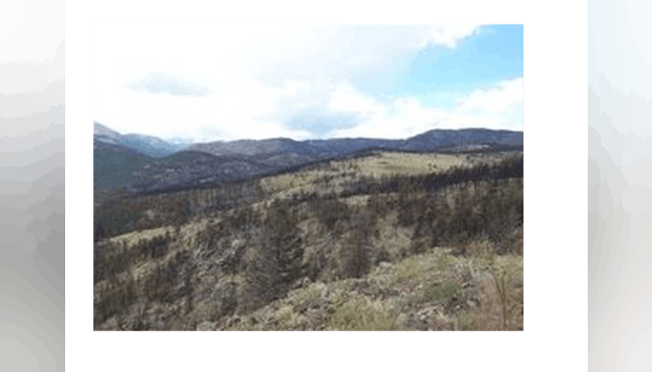 A hilly landscape with grassy areas and scattered trees under a partly cloudy sky.