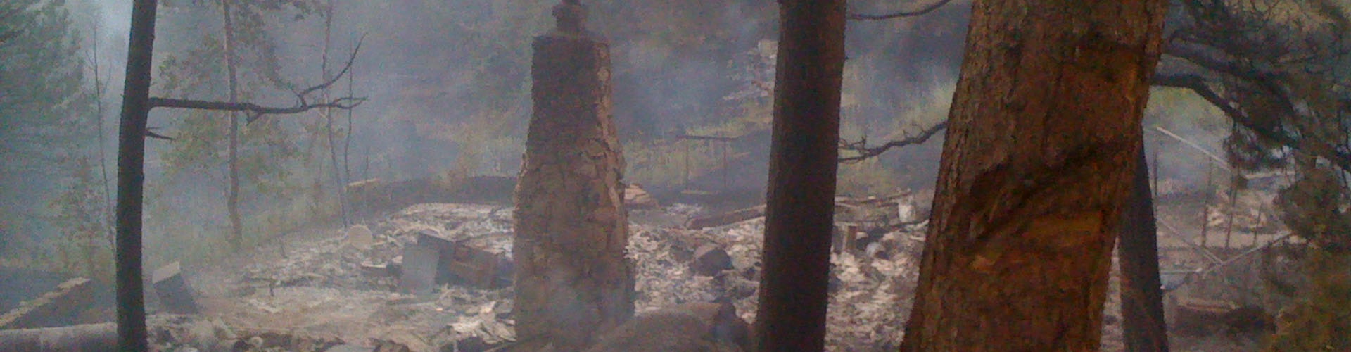 Smoke-filled forest with burnt trees and debris indicating a recent wildfire or controlled burn.