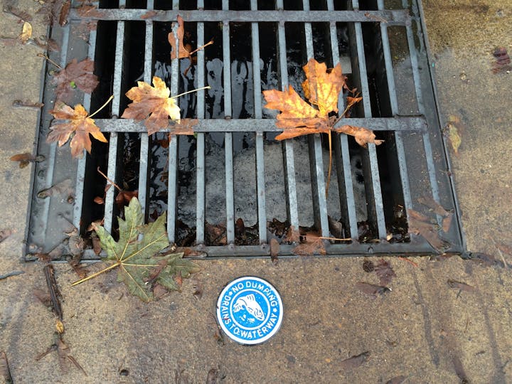 storm drain with leaves
