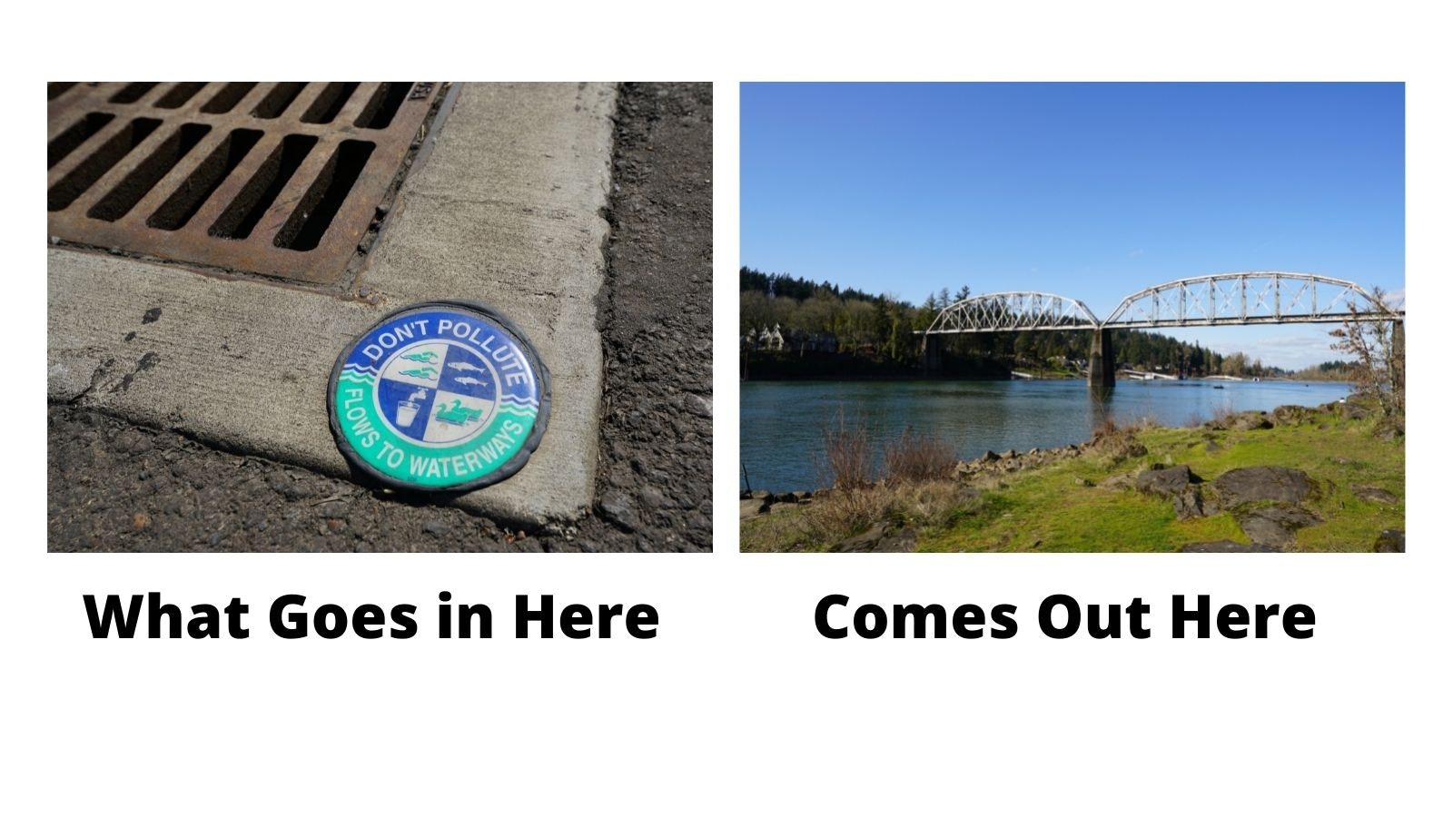 Catch basin labeled with storm water decal image and a river image showing the output to which the catch basin drains.