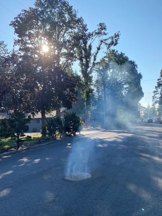 A sunny street scene with smoke rising from a manhole, surrounded by trees and residential buildings.