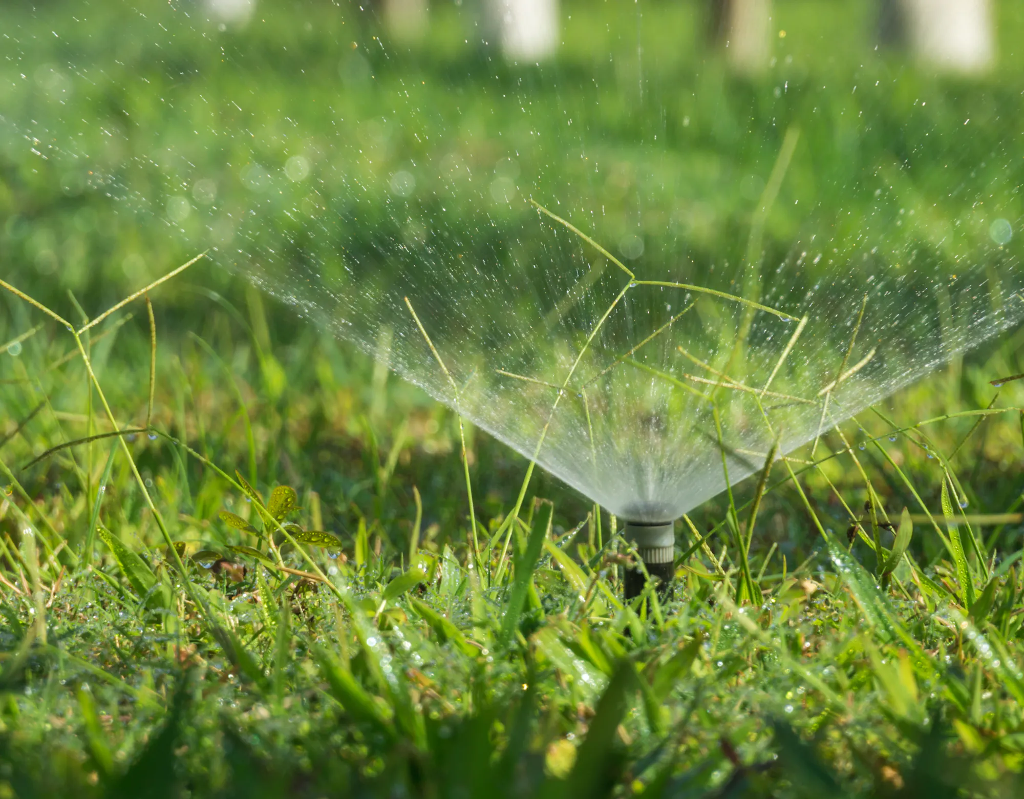 A sprinkler watering lush green grass, creating a spray of water droplets in sunlight.