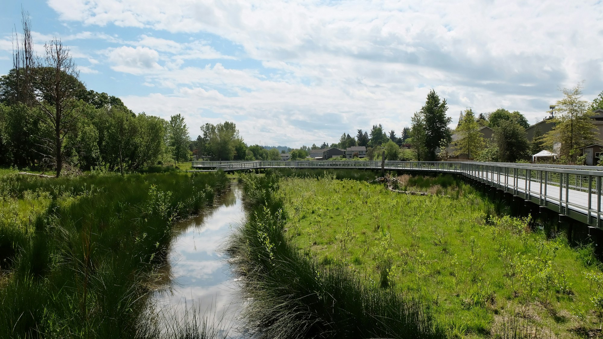 A scenic view of a wetland area with a boardwalk, lush greenery, reflections in the water, and a partly cloudy sky.