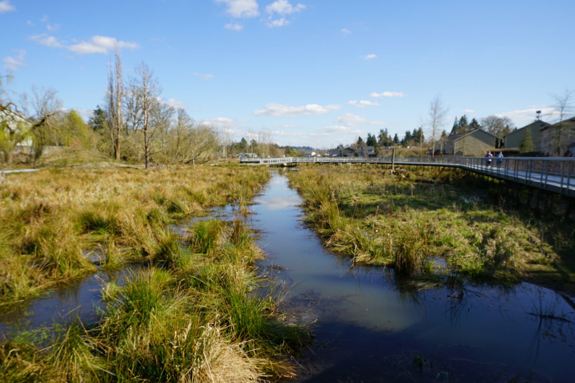 A serene wetland scene with a small waterway, lush grasses, and a walkway in the background under a clear blue sky.
