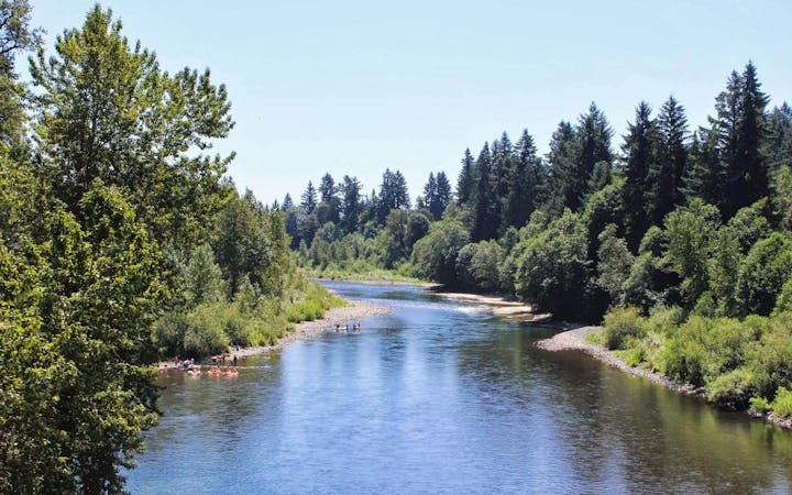 A serene river flows through lush greenery, with people enjoying the water on a sunny day.