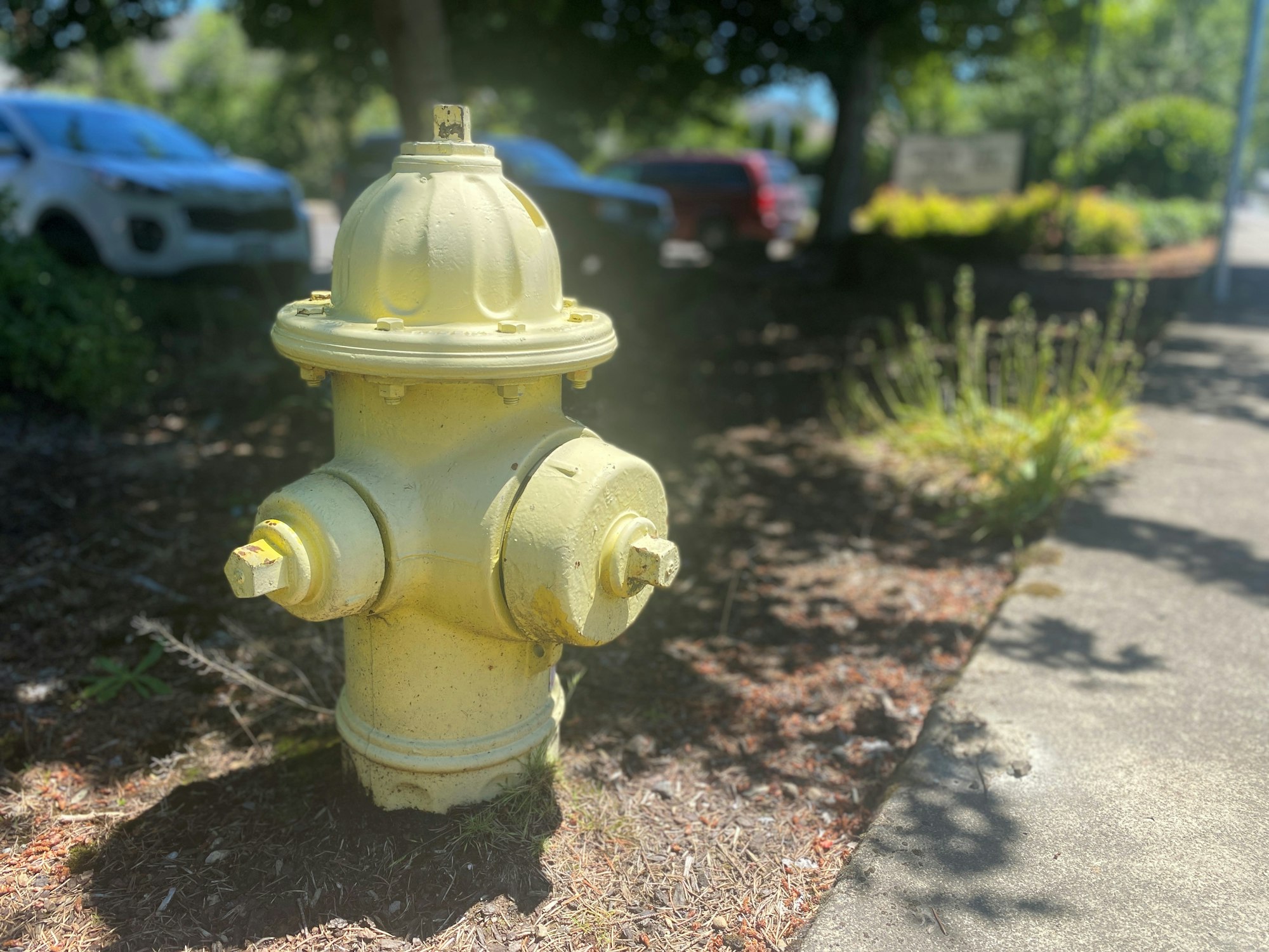 May contain: fire hydrant, hydrant, car, transportation, vehicle, and automobile