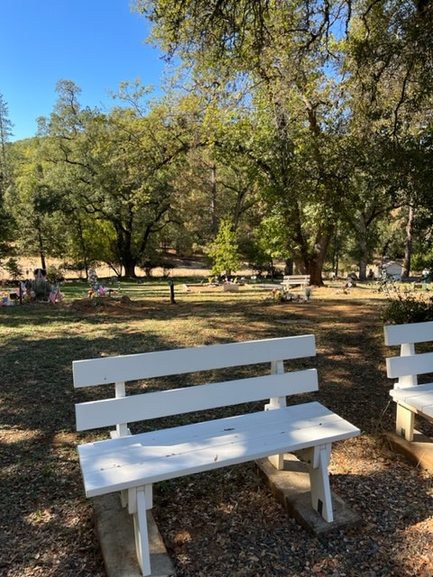 A park with white benches, trees, and people in the distance. (Image is sideways)