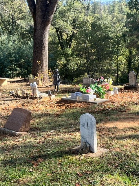 A peaceful cemetery with gravestones, trees, and flowers in daylight.