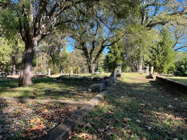 A sunny cemetery with trees, headstones, and overgrown grass.