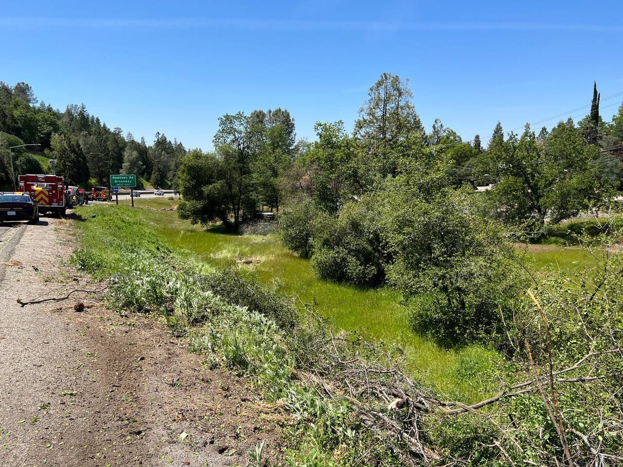 May contain: gravel, dirt road, road, tree, plant, fir, abies, and ground