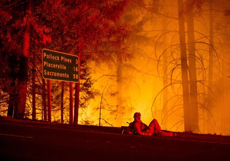 contains wildfire, road sign, firefighter, trees