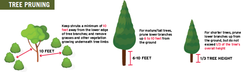 May contain: leaf, plant, and tree