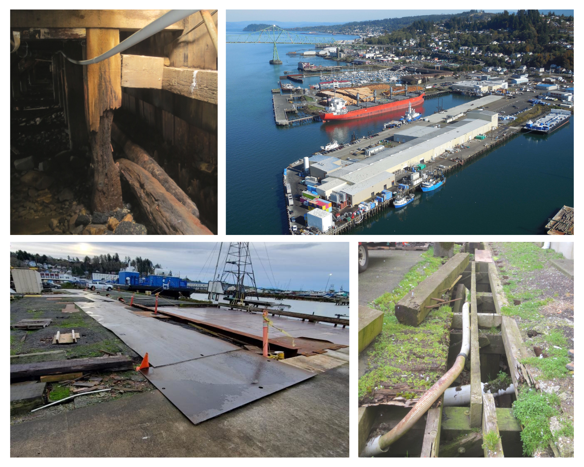 Aerial port view, damaged wooden beams, rusty metal sheets, overgrown dock.