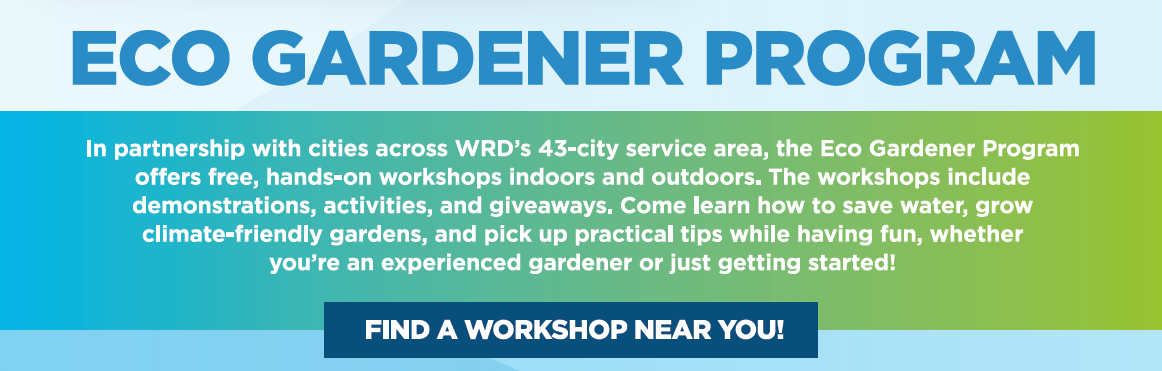 Eco Gardener Program offers free workshops to grow climate-friendly gardens and save water. Find a workshop near you!