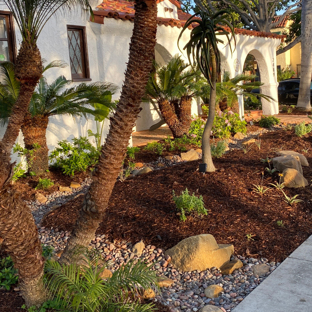 A landscaped garden with palm trees, shrubs, mulch, and a white stucco building with red tiles in golden sunlight.