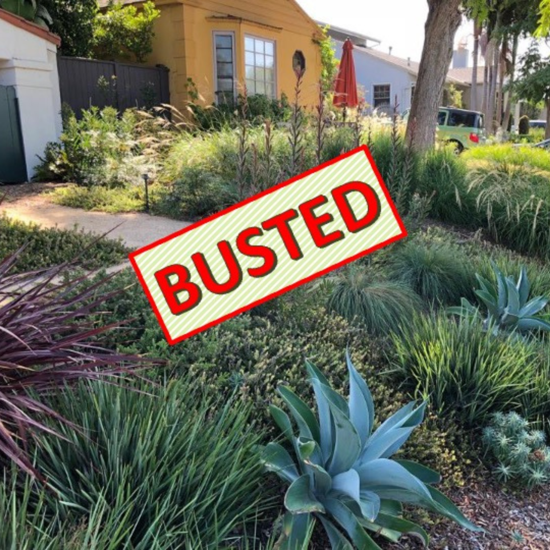 A residential garden with various plants overlaid with the red text "BUSTED."